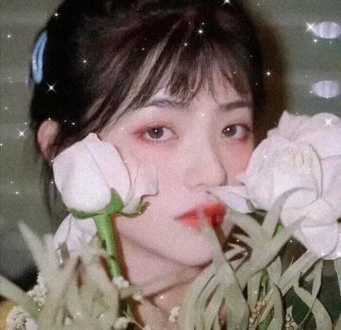 斯通夫人的罗马春天